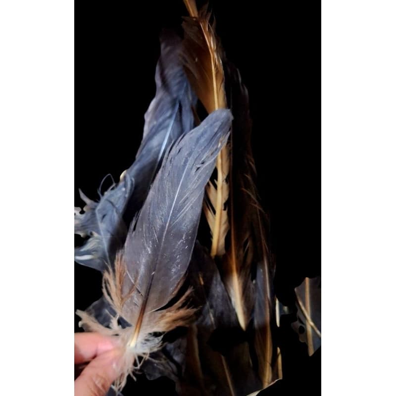 PENA DE ** U R U B U **   UNIDADE PARA TRABALHOS ESPIRITUAIS