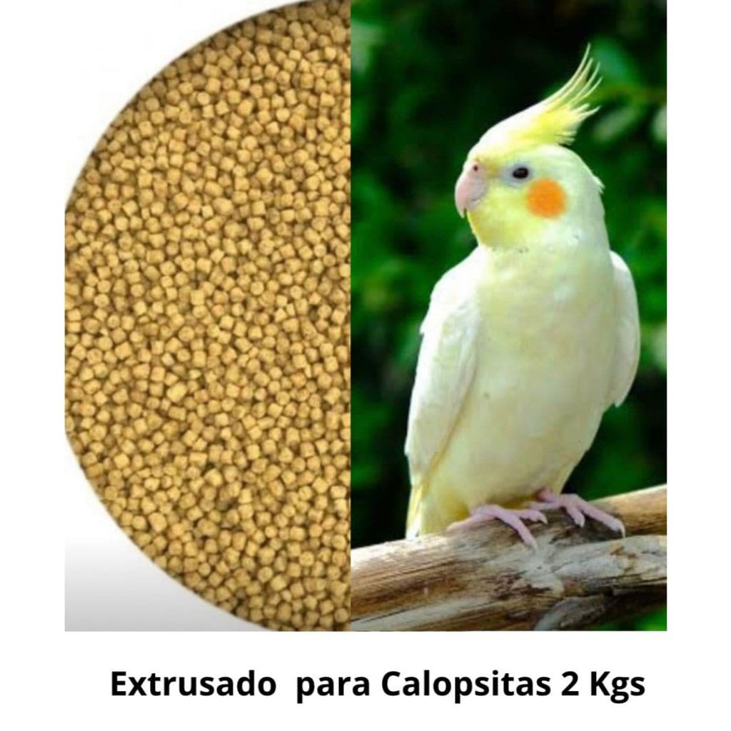 Ração Extrusada natural 5 kgs  CALOPSITA - AGAPÓRNIS
