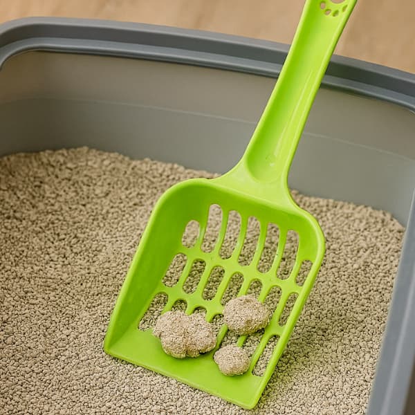 Pá Coletora de Fezes para Gatos Pazinha de Areia Sanitária em Plástico Resistente com Furos Grandes