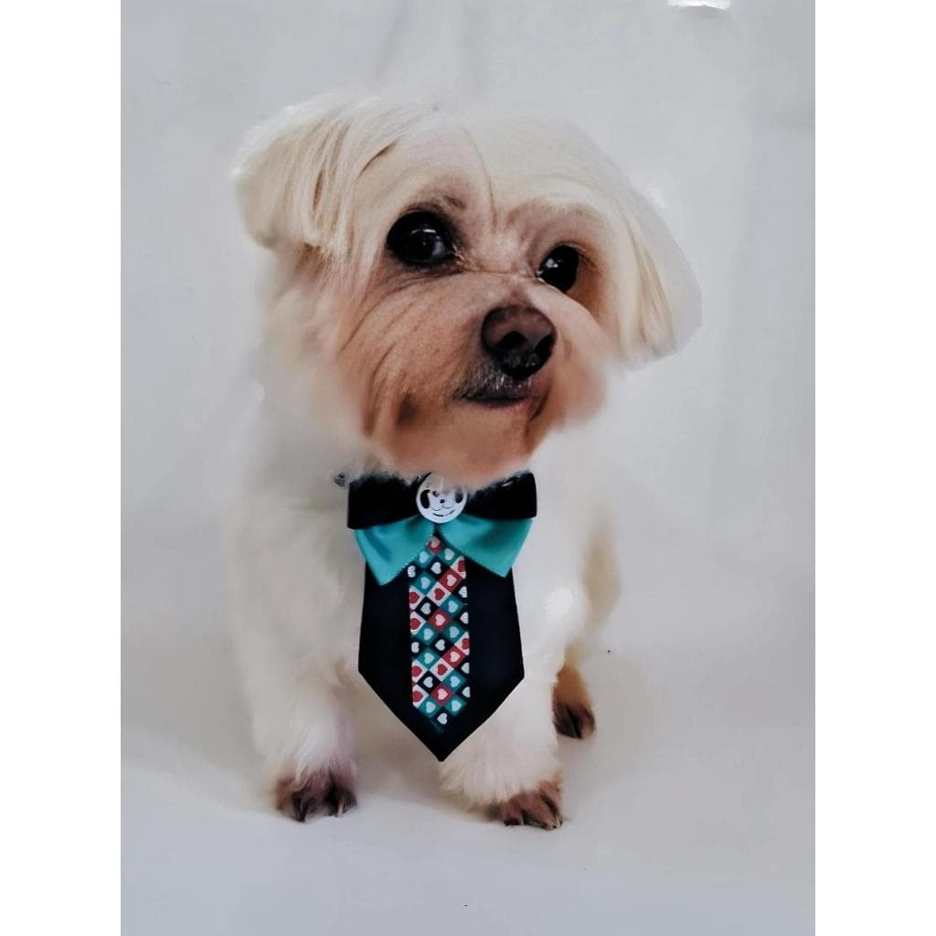 20 Gravatas Social Pet Cachorro Gato Gravatinhas Luxo Variadas Envio Imediato