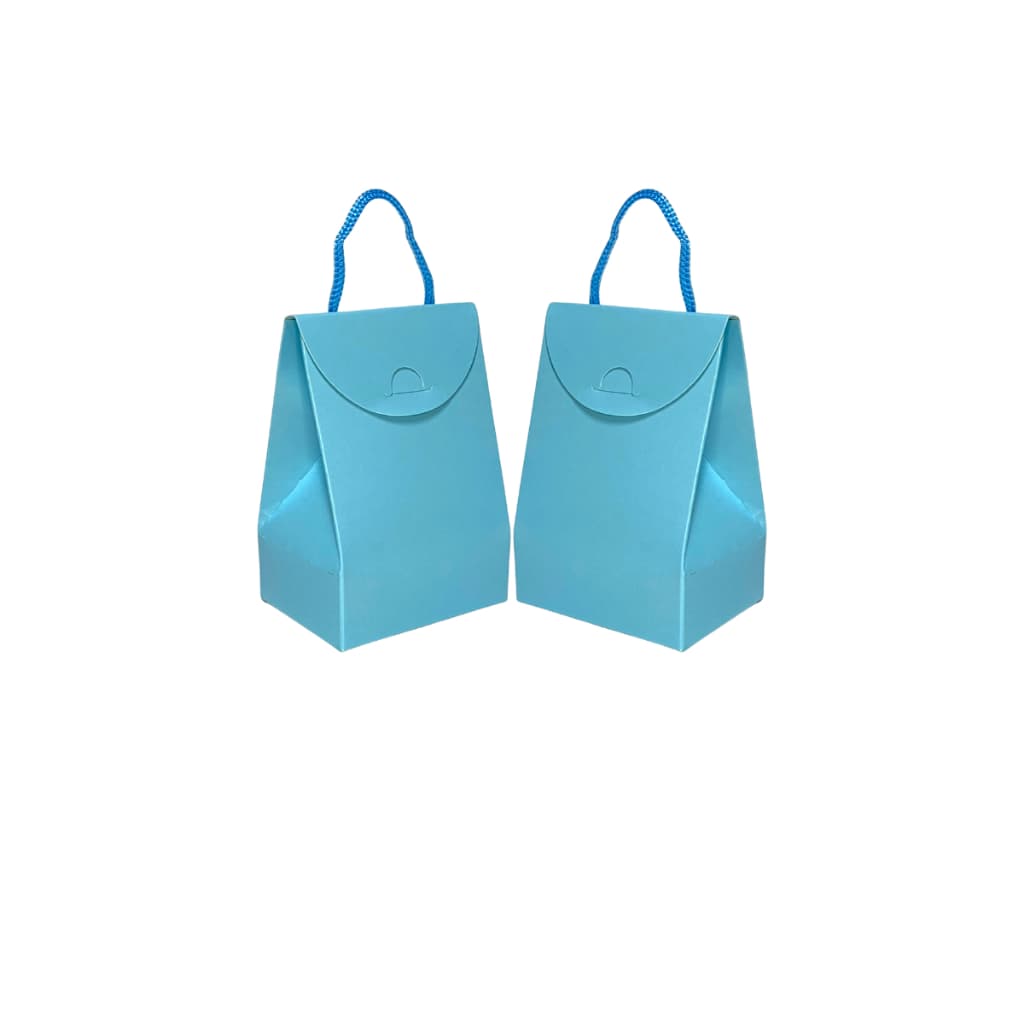 Sacola Presente Lembrancinha Loja e Biju Diversas Cores