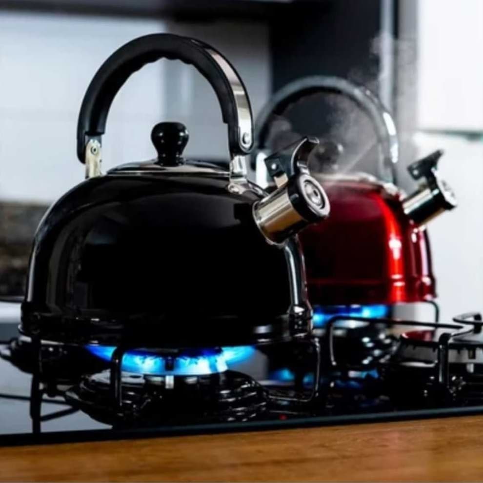 Chaleira Inox com Apito Ferve Rápido Fogão Gás Indução Elétrico 3 Cores