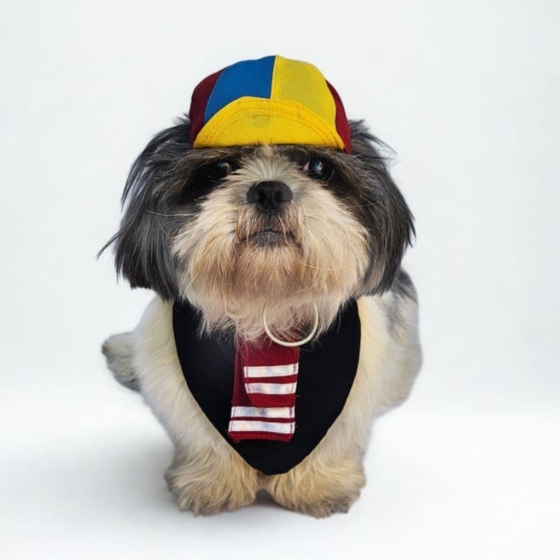 Conjunto Pet Bandana e Chapéu KiKo