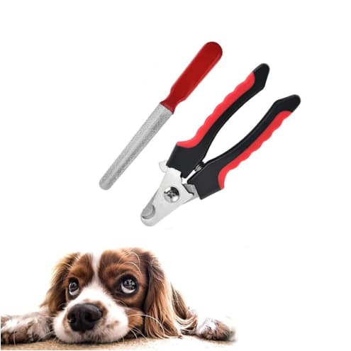 Alicate Pet Cortador Tesoura Unhas Profissional Cães/Gatos Porte Médio E Grande