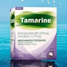 TAMARINE GELEIA POTE 250G SEM AÇUCAR