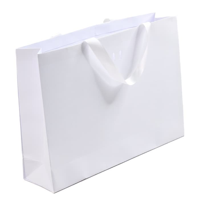 SACOLA PAPEL 180g -  G 40X30X10CM 2 UNIDADES