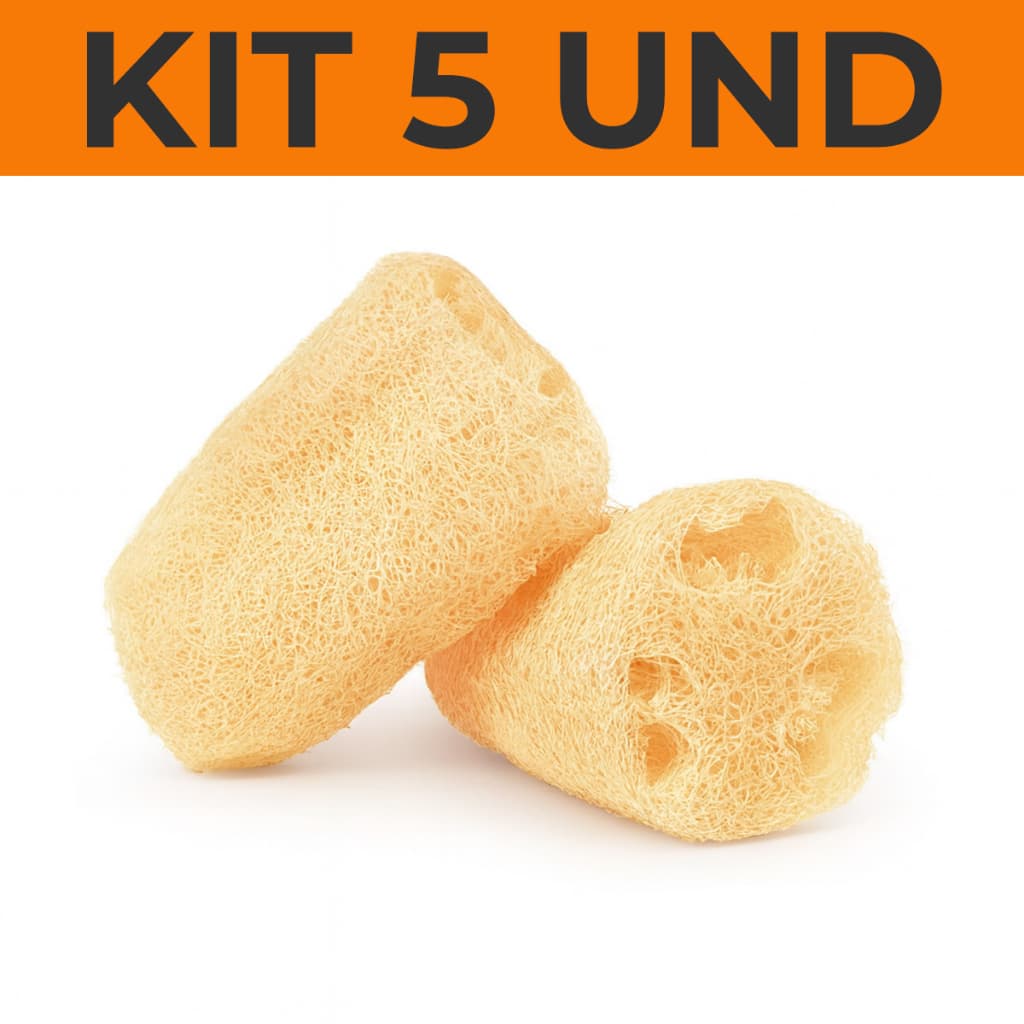 5 Esponja Bucha Vegetal Natural Banho Esfoliação Promoção