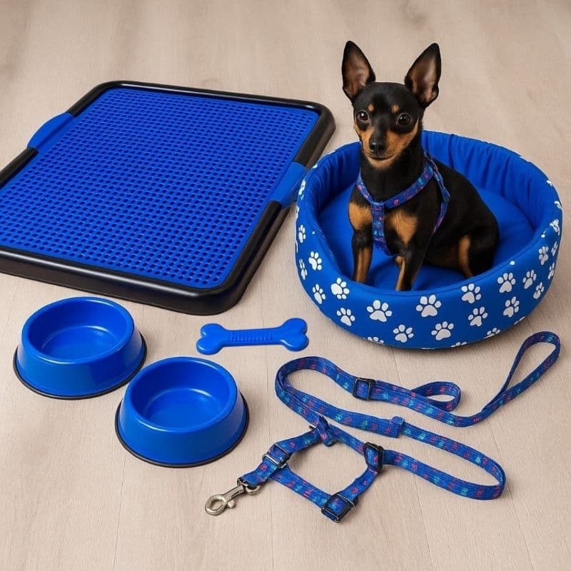 Kit Pet Guia Peitoral Caminha Para Cachorro Sanitário Higiênico Pequeno
