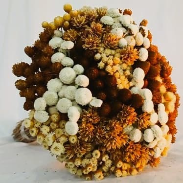 Buquê Mix, Mix de Sempre Vivas, Flores secas
