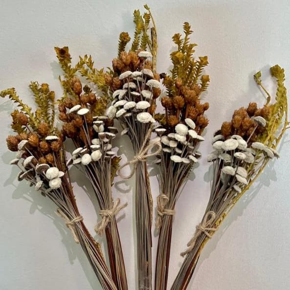 kit 5 Buquês Flores Sempre Vivas Secas e Desidratadas, Rústico, Botão Branco