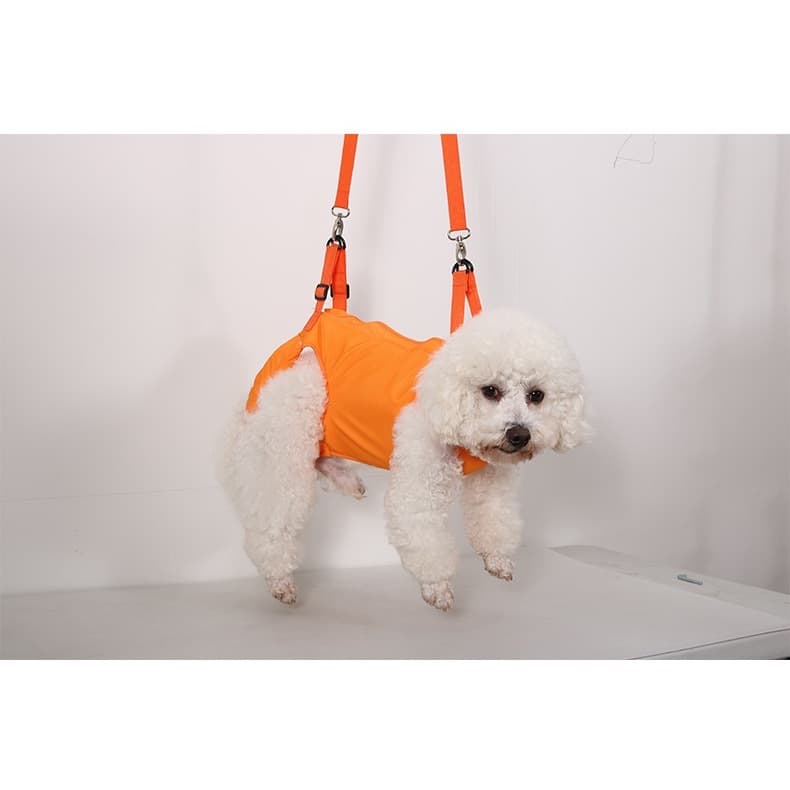 Cinto de Apoio Laranja para Pets 4 Patas Suporte de Reabilitação para Mobilidade e Conforto