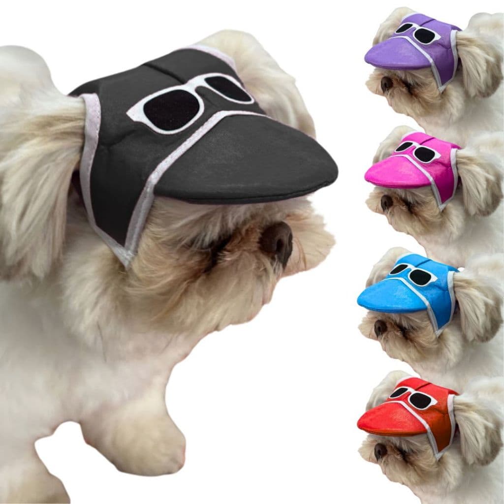 Boné para Cachorro Chapéu Pet Cães com Óculos