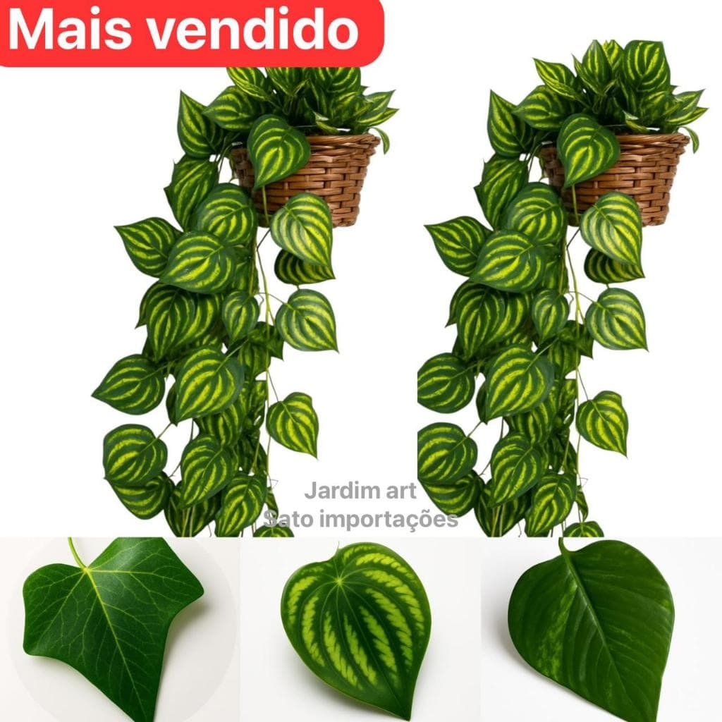 Kit : 3 Trepadeira de Folha De HERA +  1 Vaso Trançado - Arranjo completo