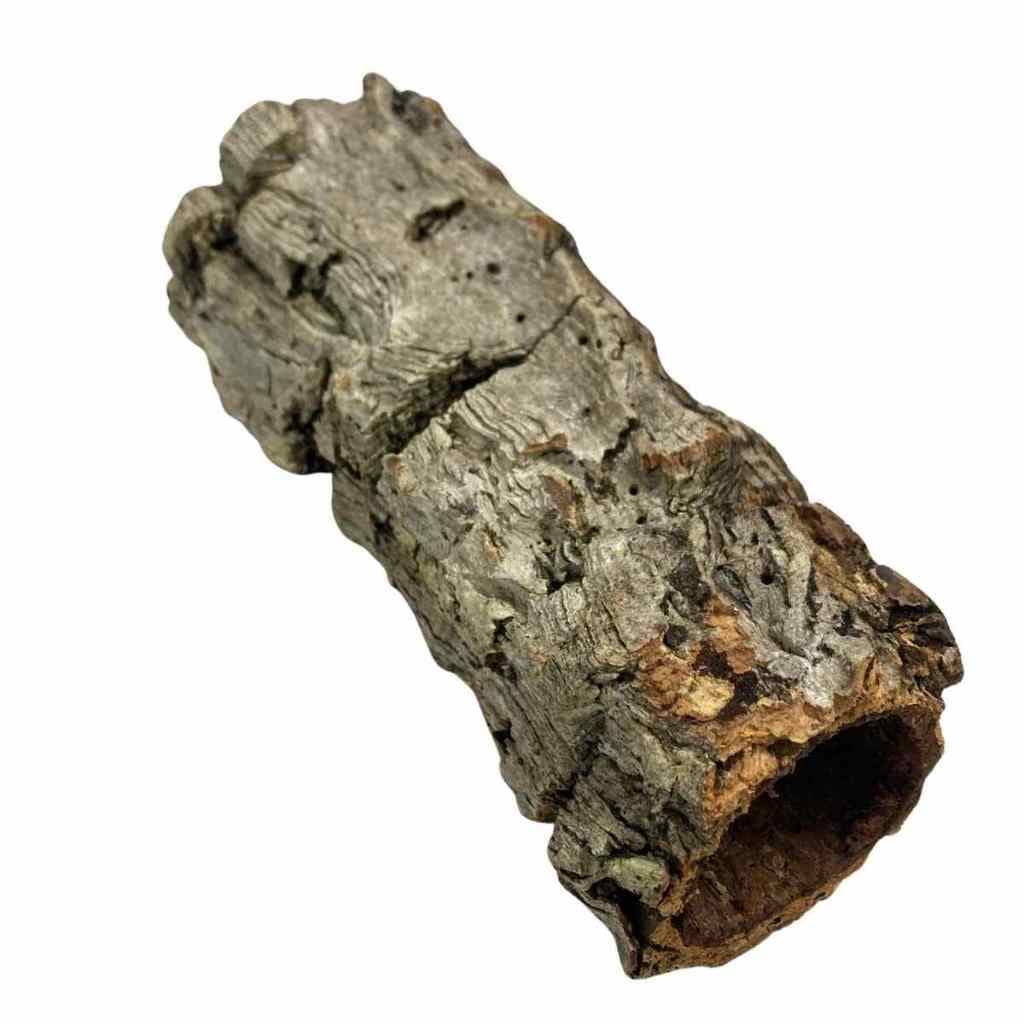 2 Unid. Tronco Oco para plantio de Orquideas e Terrarios