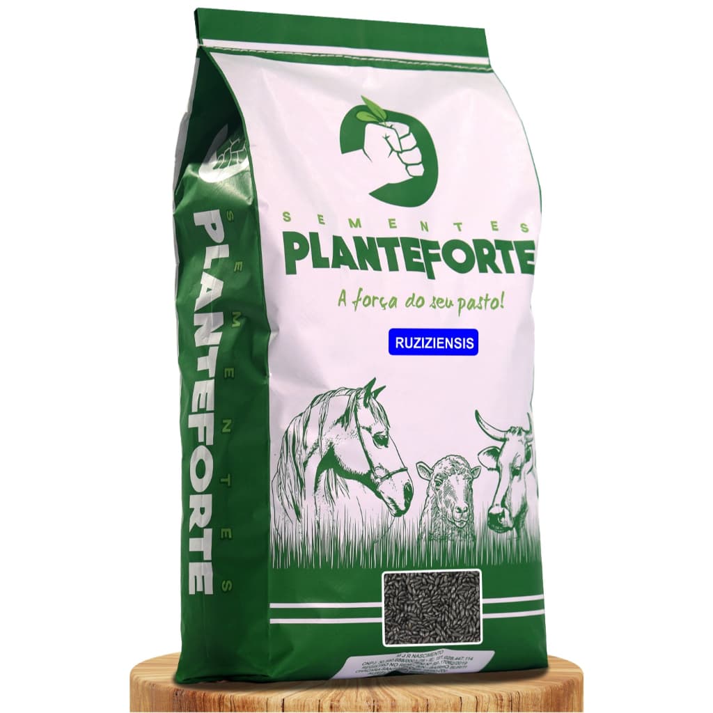 Semente Capim Ruziziensis Incrustada 10kg