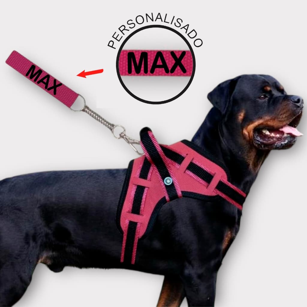 coleira e Guia para cachorro nome personalizado coleira peitoral conforto peiteira sistema amortecedor impacto regulagem
