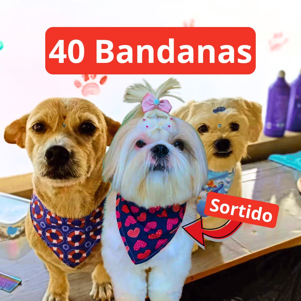 40 Bandanas Pet Sortidas para Cachorros e Gatos - Banho e Tosa