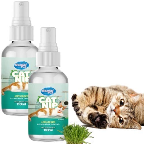 CatNip 100% natural Spray 110ml