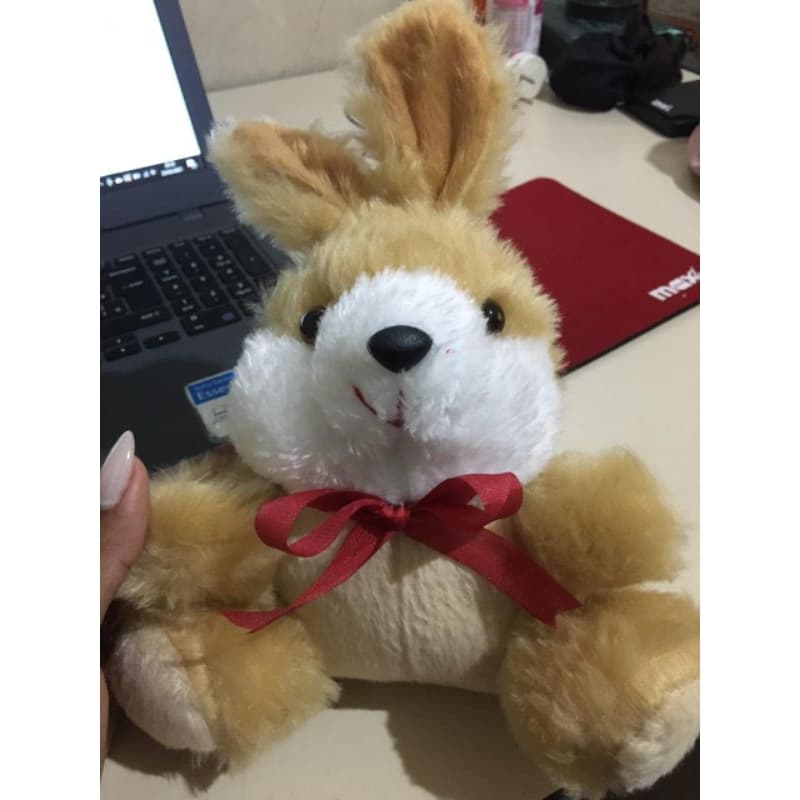 Coelho de pelúcia 24cm de altura.ideal para cestas, com várias cores