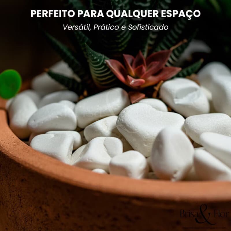 Pedra Branca para Jardim 4Kg Vasos Aquário decoração