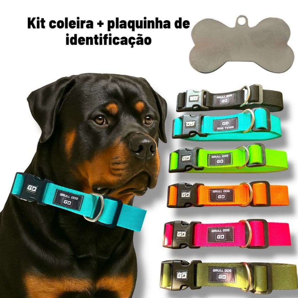 coleira para cachorro + plaquinha de identificação pet reforçada com trava  ajustável