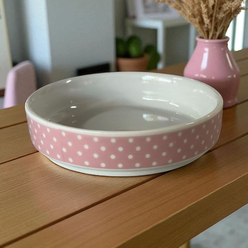 Prato Para Gatos de Porcelana Raso Comedouro 230ml