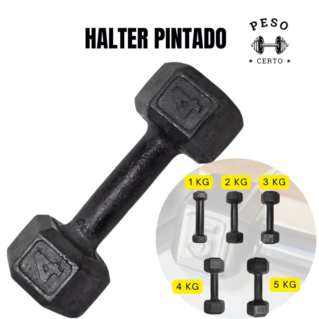 UNIDADE Halter Sextavado Pintado Academia Musculação Treino Casa Crossfit Peso Fisioterapia