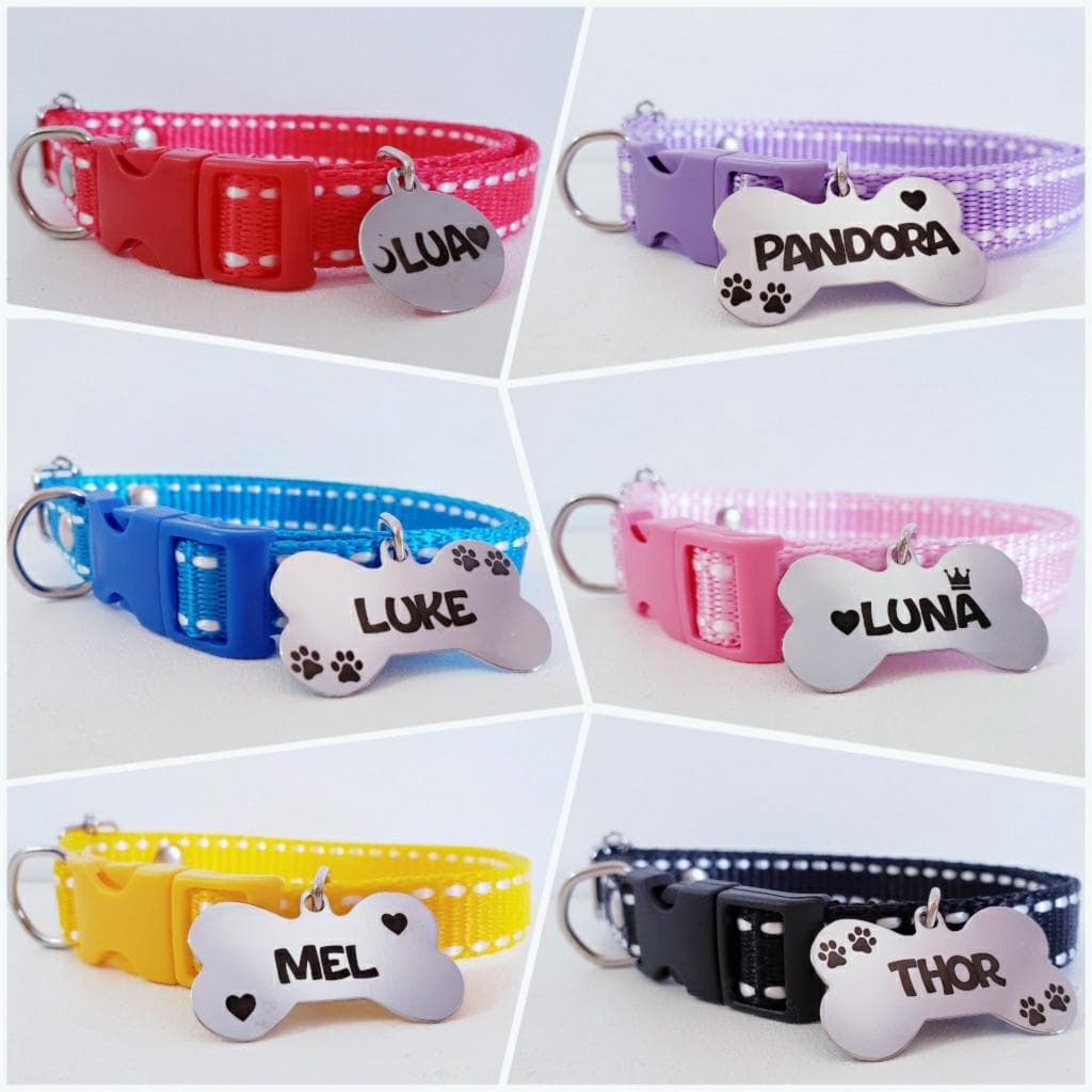 Coleira para cachorro com plaquinha de identificação personalizada