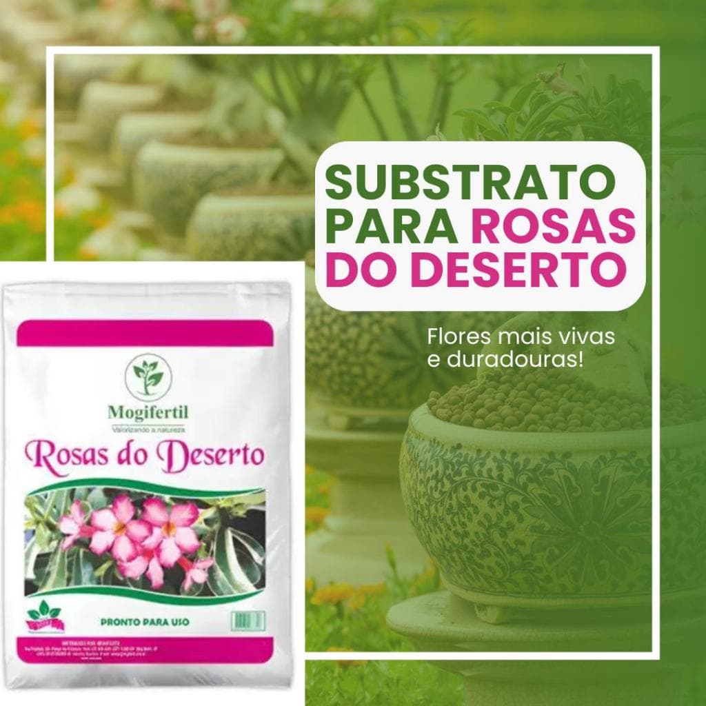 Substrato  Rosa Do Deserto Mogifertil 4kg