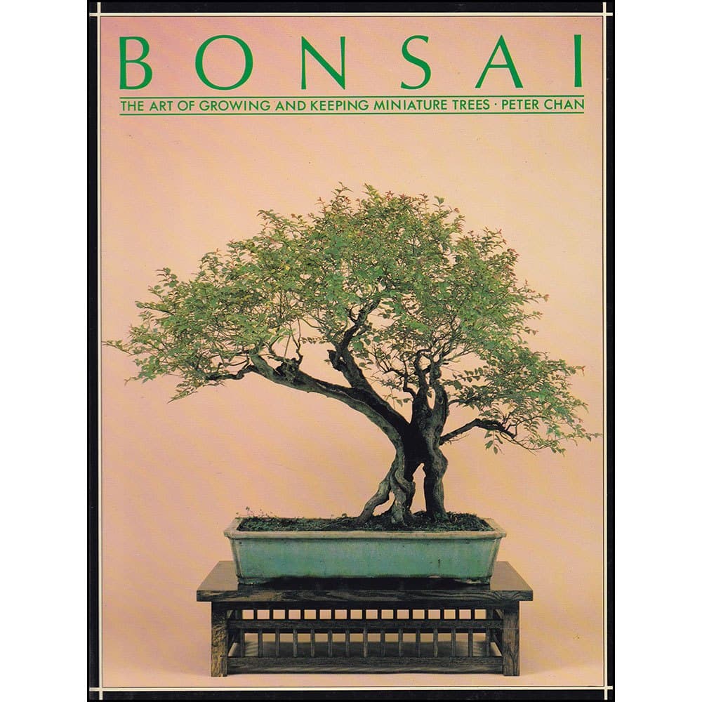 Bonsai - The art of growing and keeping miniature trees