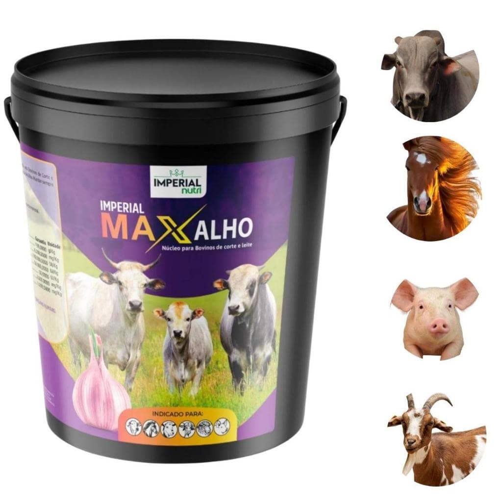 Alho Em Pó 5 KG - Max Alho Imperial Nutri Para Bovinos, Sem Moscas e Carrapatos.