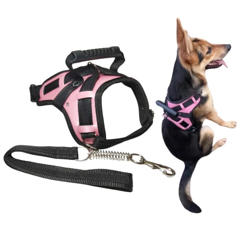 Guia Coleira Black Friday Peitoral Cachorro Médio e Grande Pitbull Pastor Alemão Labrador Husky cane