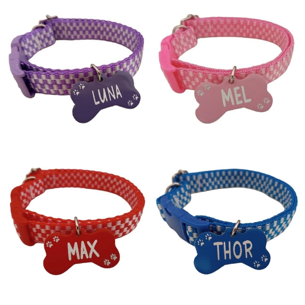 Coleira para cachorro e gato com plaquinha de identificação