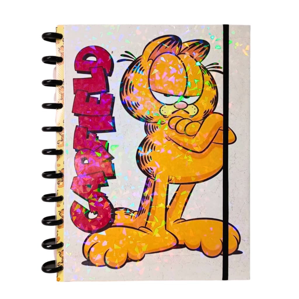 Caderno Inteligente Garfield - 11 discos