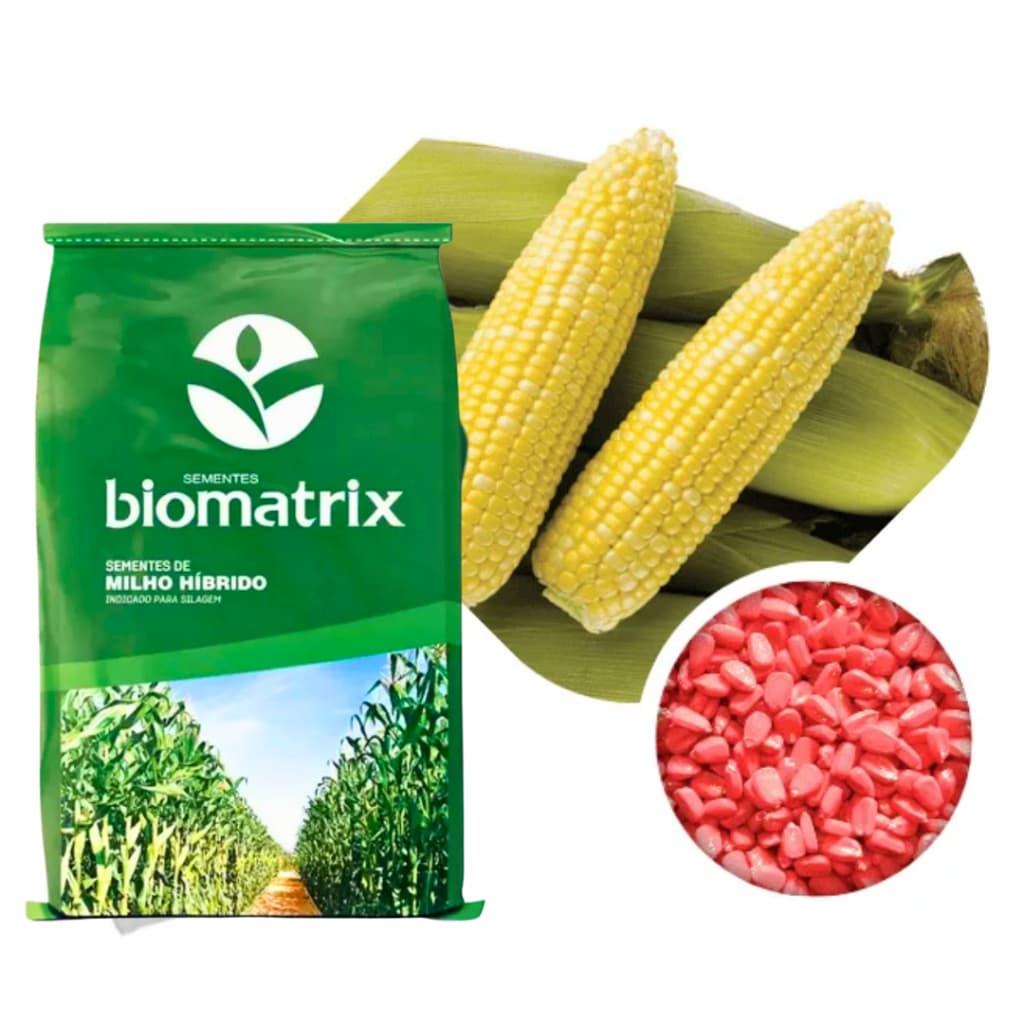 Semente de Milho Resistente RANDUP Glyfos - 2.000 sementes