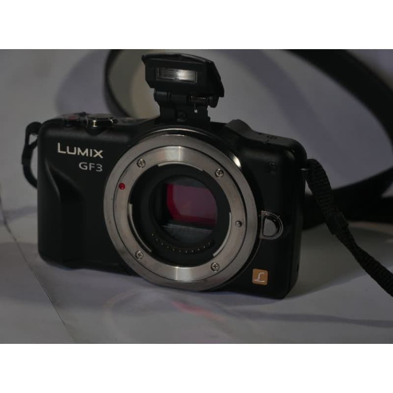 Panasonic Lumix DMC-GF3