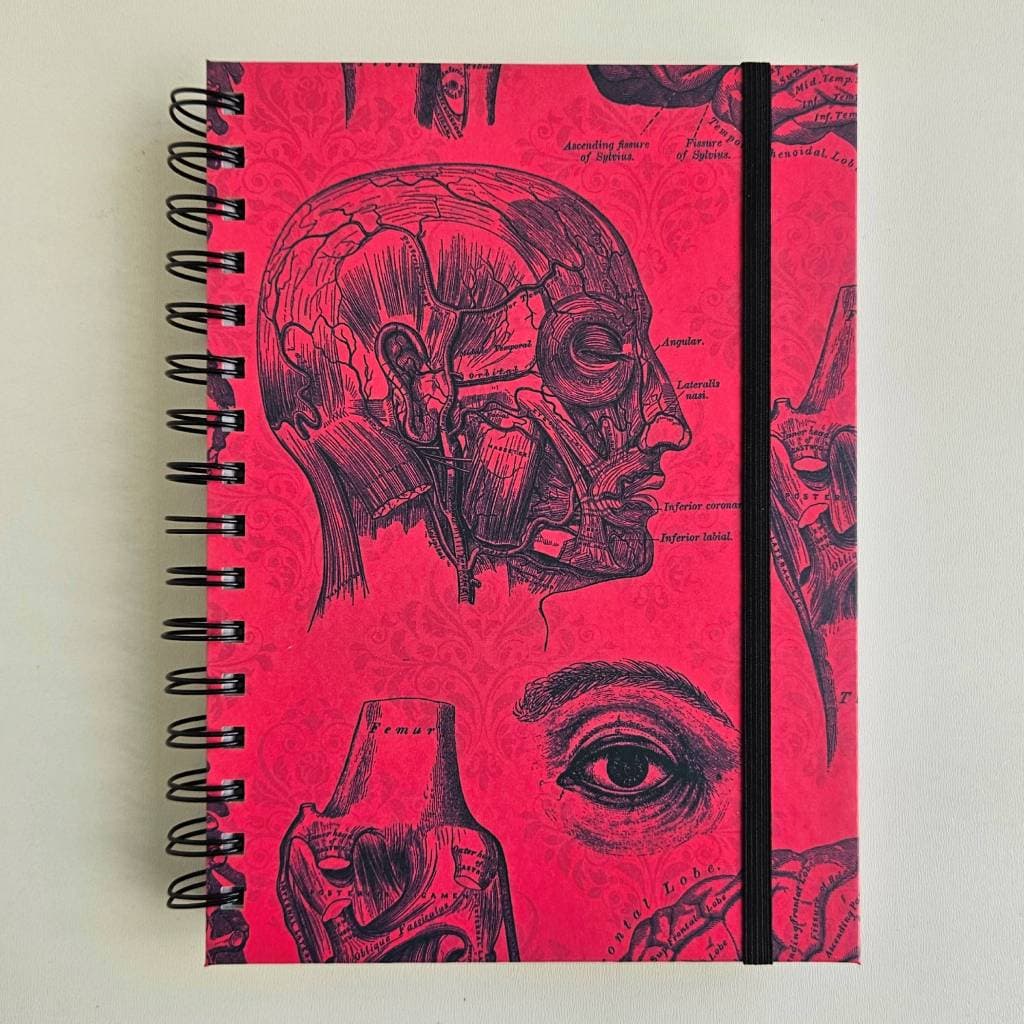 Caderno Sketchbook Desenho e Aquarela A5 21x15cm - 90g, 120g, 240g, 300g Anatomia