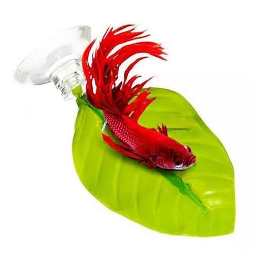 Folha de Descanso para Peixe Betta – Antiestresse, Atóxica, Conforto e Bem-Estar no Aquário