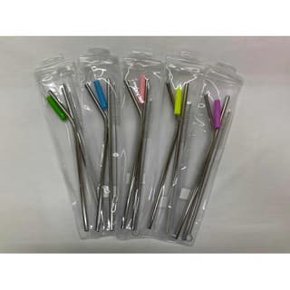 2 Canudos Aço Inox + Ponteira + 1 Escova + capa