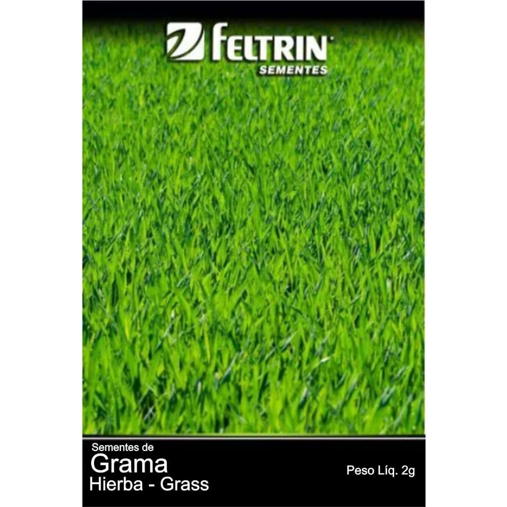 Sementes de Grama São Carlos Envelope com 2g, 2800 sementes