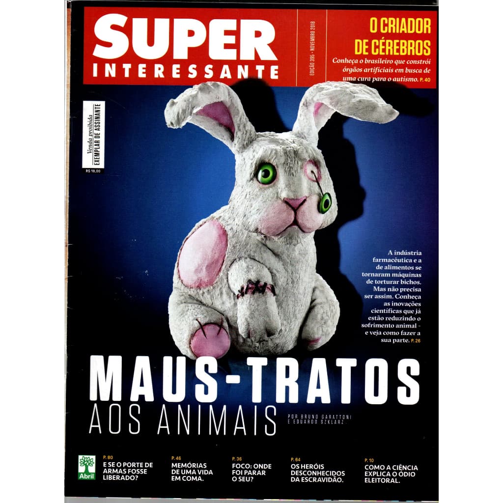 Revista Super Interessante, Nº 395, Novembro De 2018
