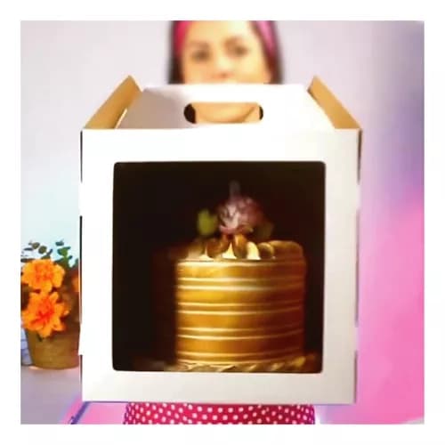 KIT 5~20 Caixas Bolo Alto Cake Box - 22x22x22cm - Confeitaria, Artesanato, Utensílios, Embalagens