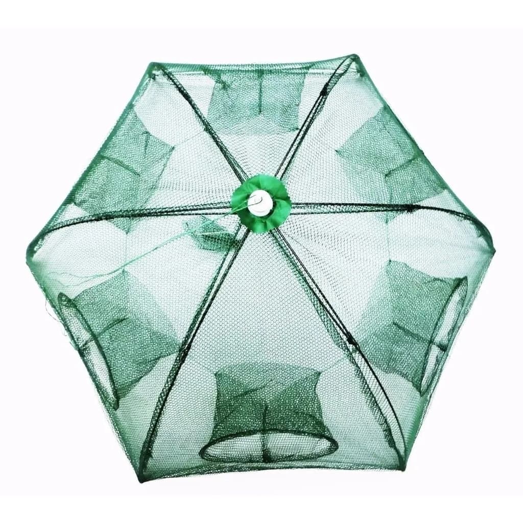 Armadilha Covo Isca Viva Lambari Siri Pesca Tucunaré Traíra