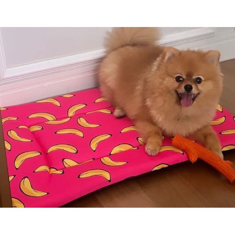 Colchonete Caminha Pet sem zíper Gato Cat Dog Cão Cachorro Coelho TAMANHO ÚNICO