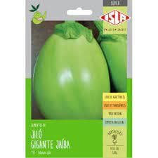 1.000 SEMENTES DE JILÓ GIGANTE JAÍBA - SEMENTE PARA PLANTIO DE JILÓ GIGANTE