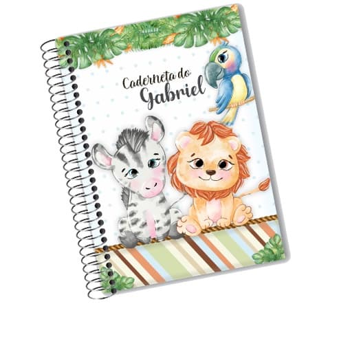 Caderneta De Vacina Saúde Da Criança Sétima 7 edição  SUS Personalizada Menino com Nome e Tema