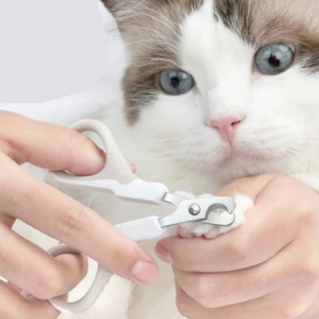 Tesoura para pet cães gatos aves Tesourinha 2 unid