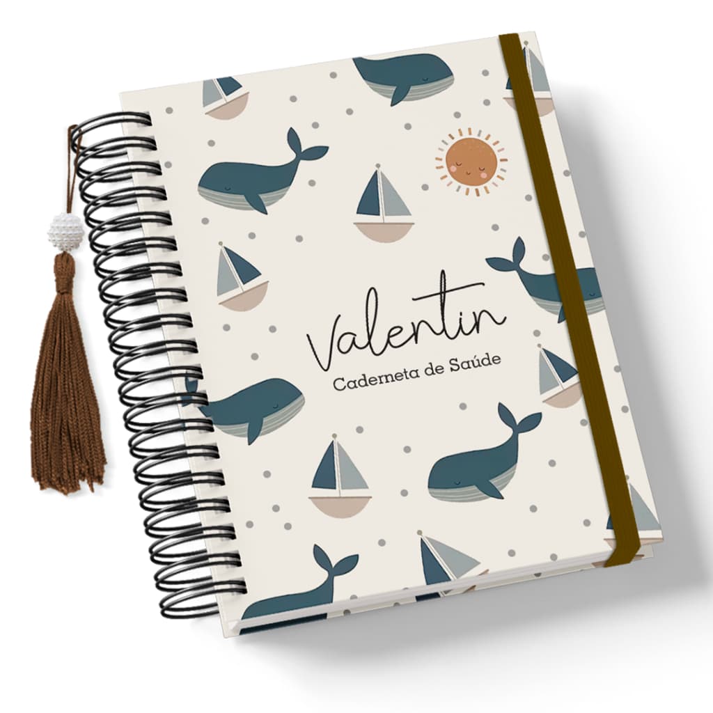 Caderneta de Saúde/Vacina - Menino - Capa Dura - Personalizada - Vários Temas Novos