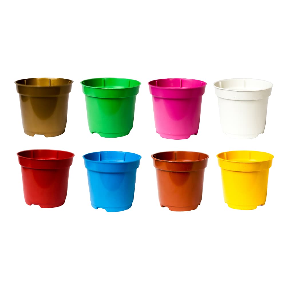 30 Vasos Plasticos Pote 6 Sortido Para Cactos e Suculentas 80ml