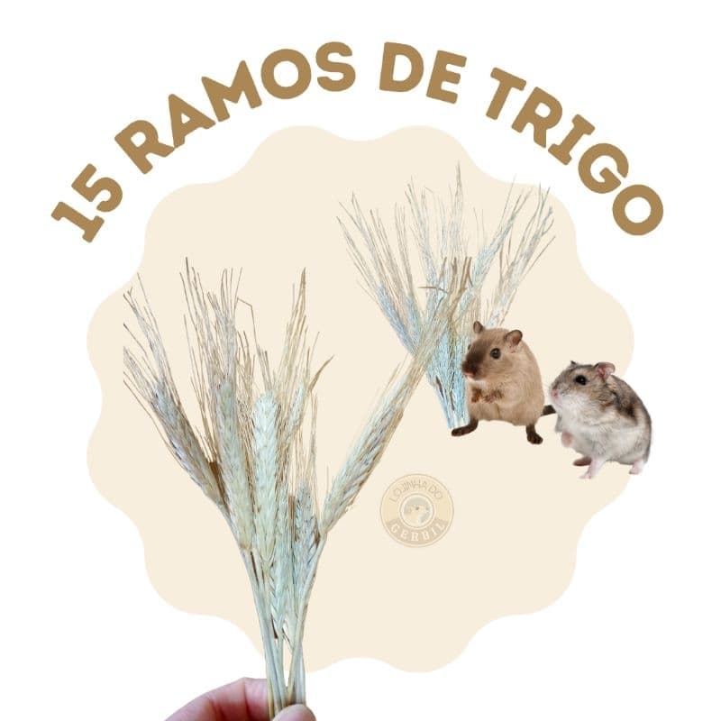 Raminhos de Trigo Natural ( SEM AlVEJAR )/Sprays